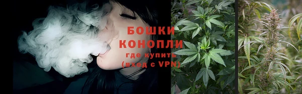 хмурый Карпинск
