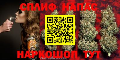 наркотики Гатчина