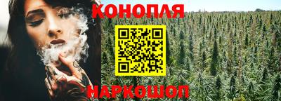 наркотики Гатчина