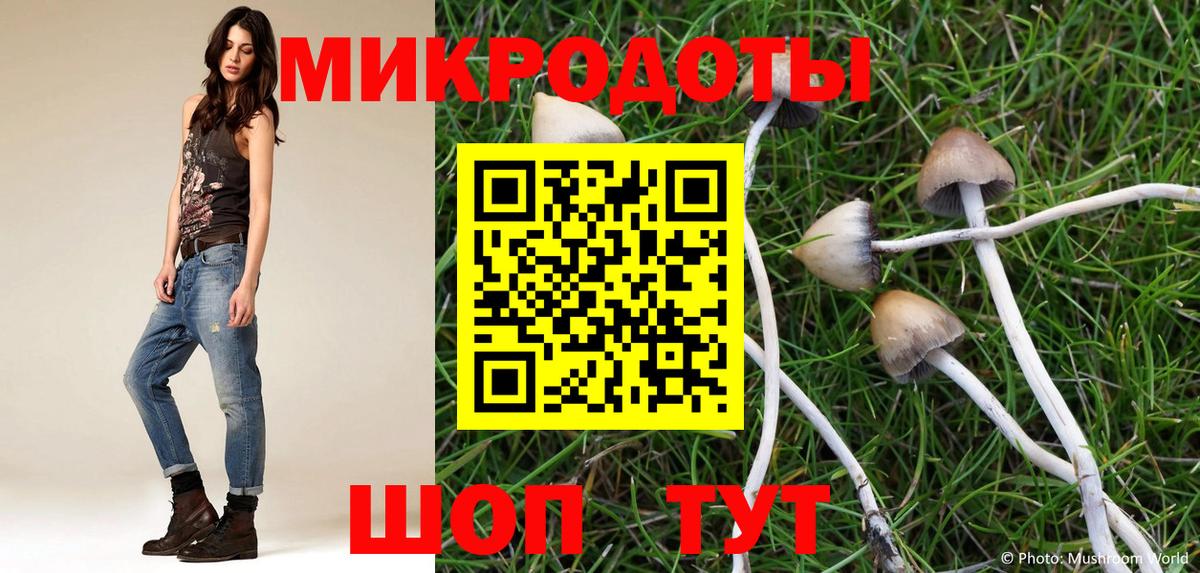 Галлюциногенные грибы Psilocybine cubensis  Вход с VPN  Первоуральск  Псилоцибиновые грибы Psilocybe 
